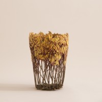<a href="https://www.galeriegosserez.com/artistes/clegg-shannon.html">Shannon Clegg</a> - « Flora » - Small Yellow Gold Sculpture